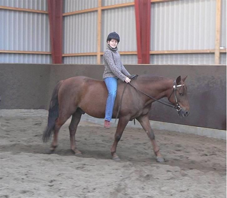 Anden særlig race Sara's Red Showboy - Hyggeridning på bar hesteryg billede 8