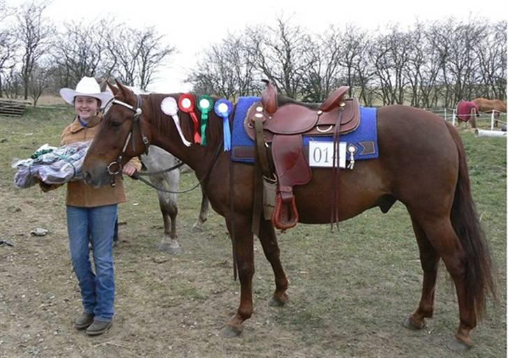 Anden særlig race Sara's Red Showboy - Efter stævnet i Give 2007 billede 15