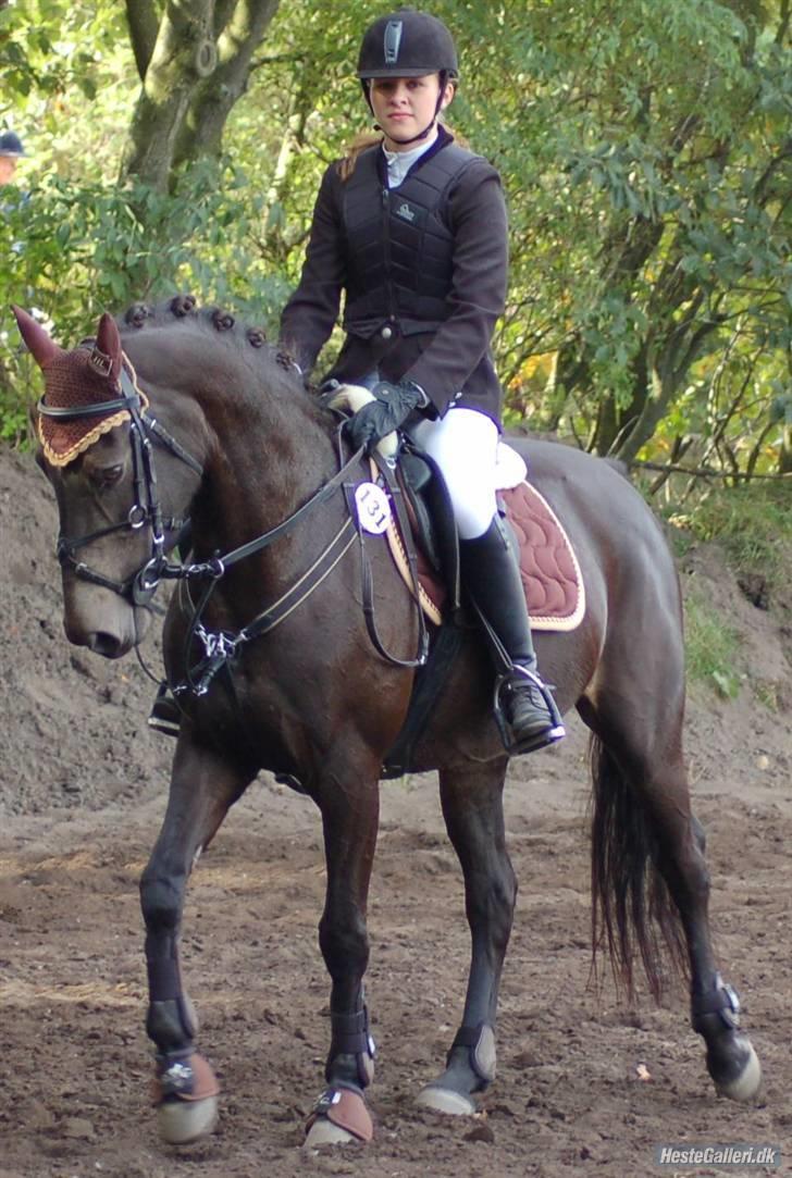 DSP Pretty Madonna - Stævne i Kallehavegaard billede 2