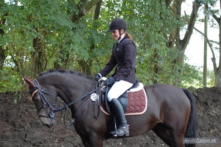 DSP Pretty Madonna - Stævne i Kallehavegaard billede 3