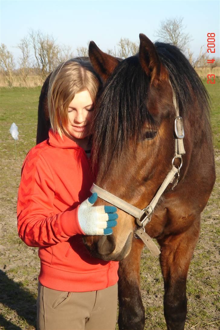 Anden særlig race Santos billede 7