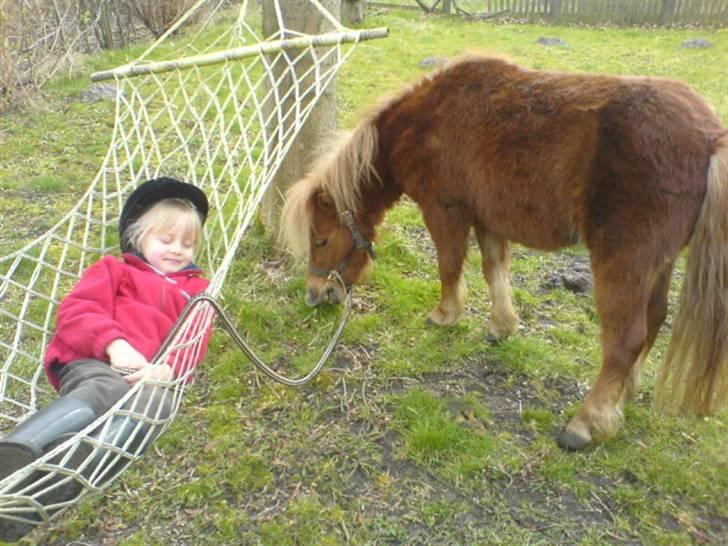 Shetlænder Maskot<3 - Maskot og Jeg: det er da vist det man kalder for hygge! (: billede 7