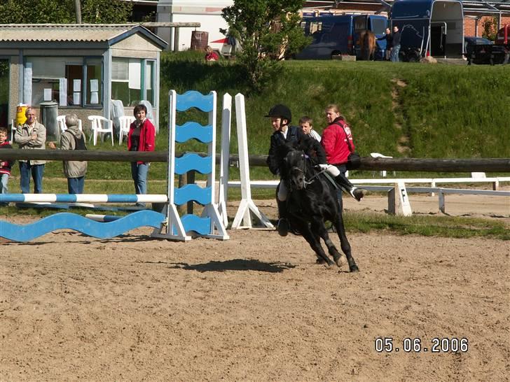 Dartmoor Prins - Så er der ponyræss til omspring i Struer billede 1