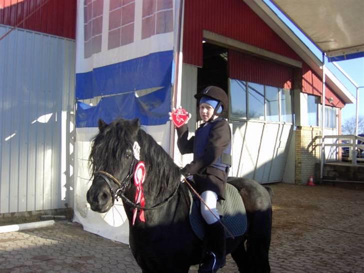 Dartmoor Prins - Vores første C-stævne og se hvad vi fandt 1. plads billede 2