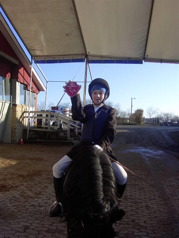 Dartmoor Prins - En stolt pony og dreng billede 3