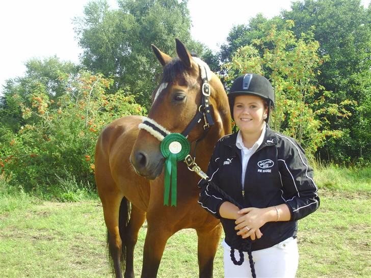 Dansk Varmblod Estepona Kærlund *R.I.P* billede 6