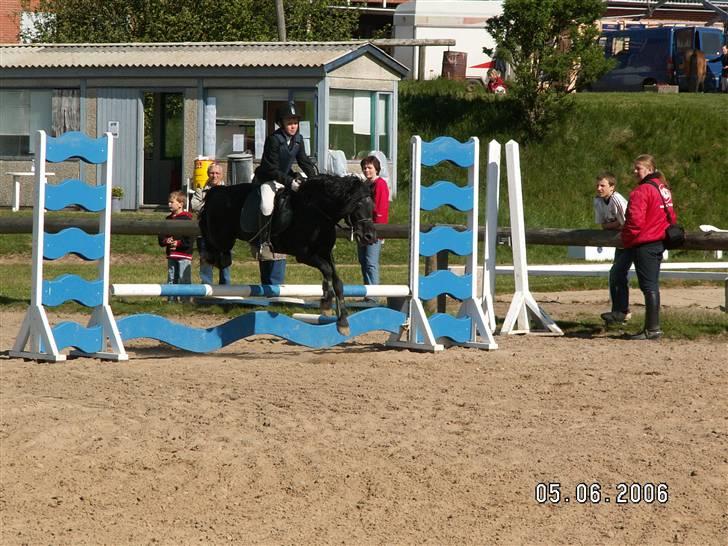 Dartmoor Prins - Hvor ser det farligt ud men jeg springer når Kenni beer mig om det billede 7