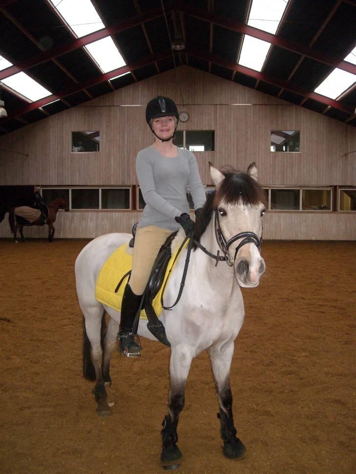 DSP Blanke - Solgt - .. billede 2