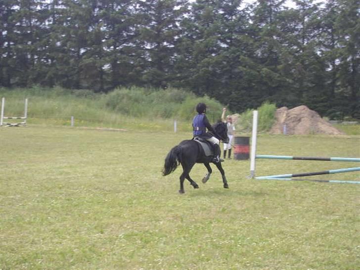 Dartmoor Prins - Det sidste spring  billede 9