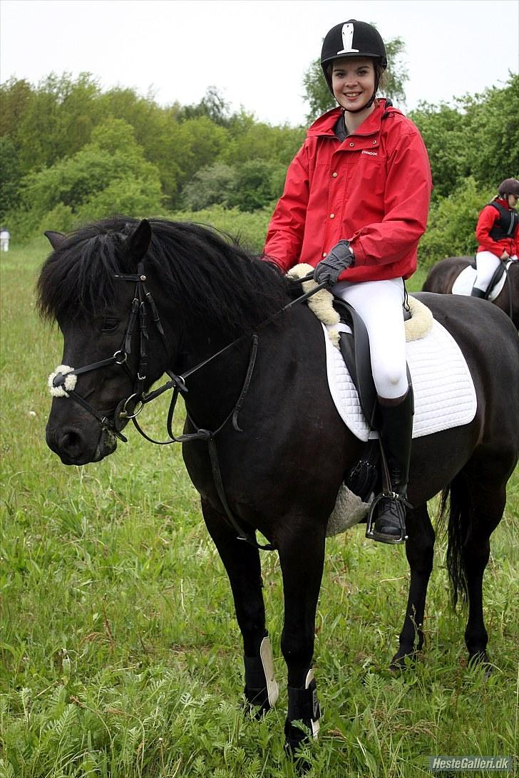 Hollandsk Sportspony Black Boy *Bedste Hest* - SAVNET!!  - Forårsjagt d. 30 maj 2010 VSR billede 1