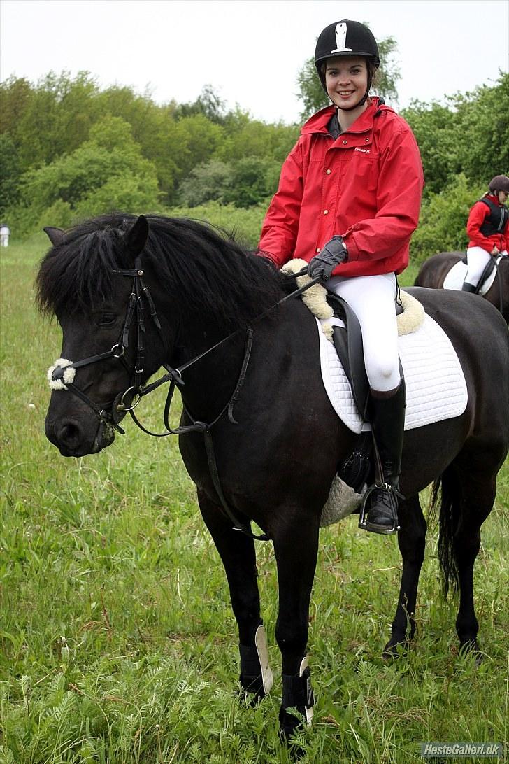 Hollandsk Sportspony Black Boy *Bedste Hest* - SAVNET!!  - Forårsjagt d. 30 maj 2010 VSR billede 1