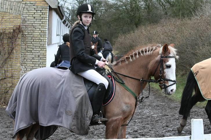 Anden særlig race Bacardi *tidl. hest - Bacardi og mig til stævne<3 billede 5