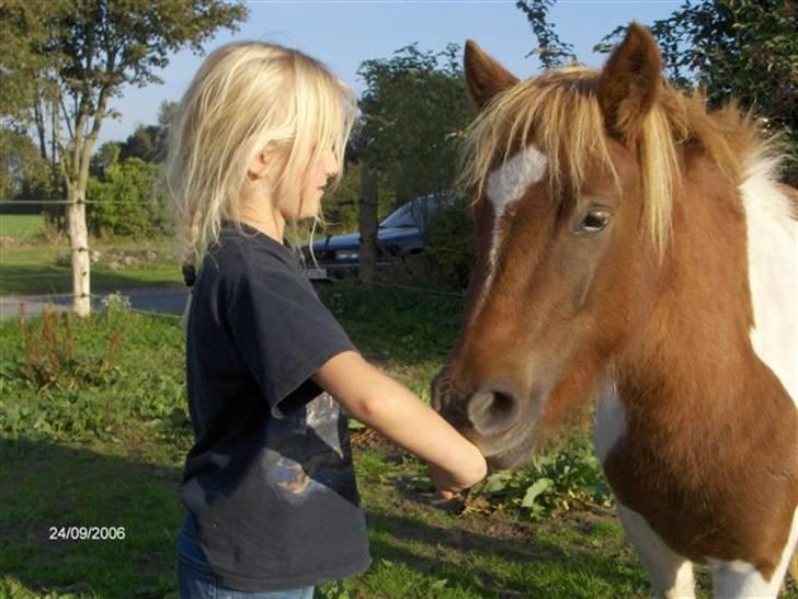Anden særlig race Lilla - Da jeg lige havde fået lilla billede 10