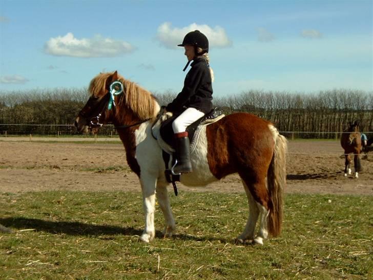 Anden særlig race Lilla - vores første stævne billede 11