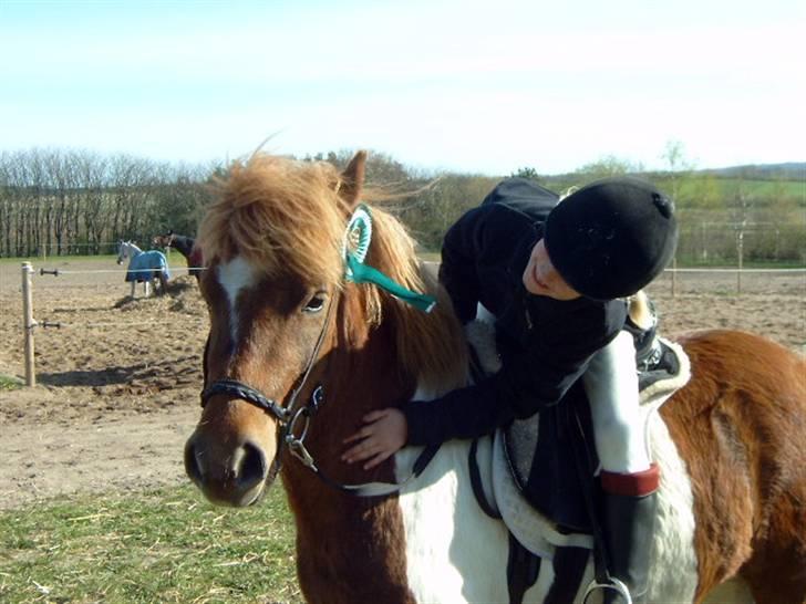 Anden særlig race Lilla - vores første stævne, og vi fik en 3. plads :-D billede 12