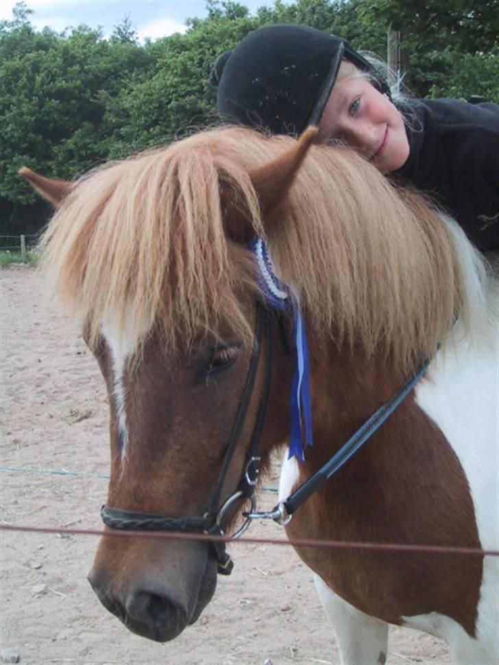 Anden særlig race Lilla billede 13