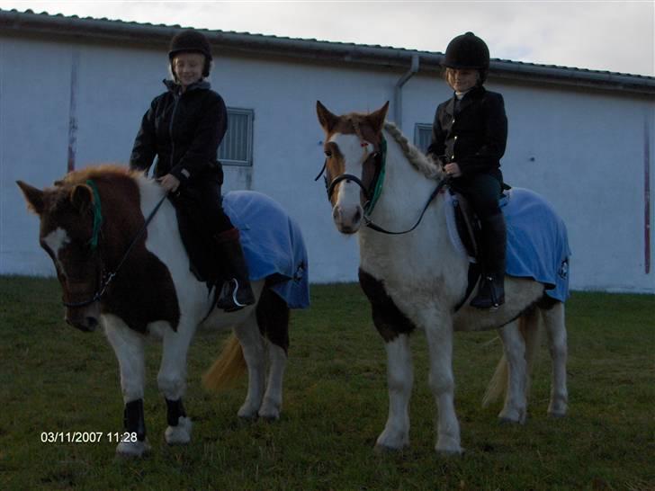 Anden særlig race Lilla - Lilla(ikke så køn med rosenknobber) og Jari (hendes kæreste) og min kusine billede 16