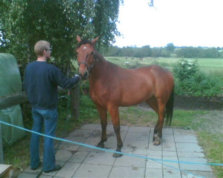 Traver Game Bird *SOLGT* billede 3