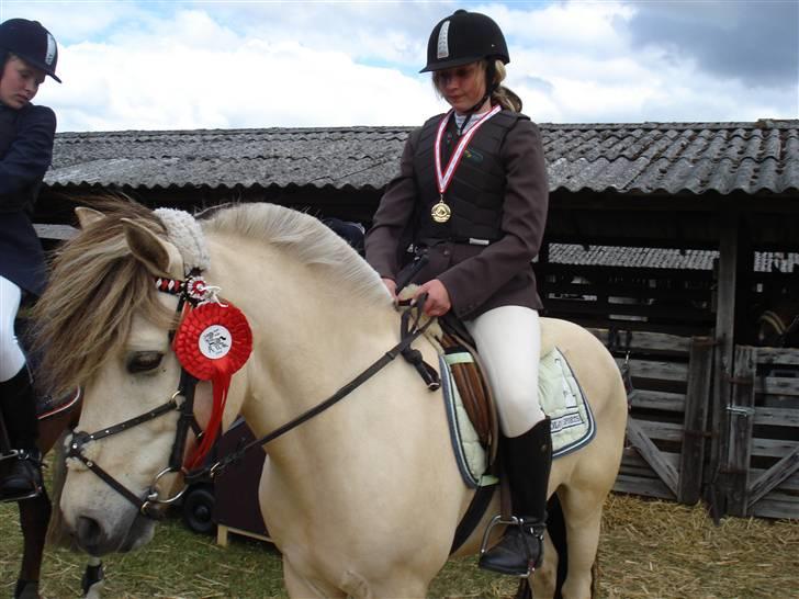 Anden særlig race Grønløkke's Silver Boy<3 billede 2