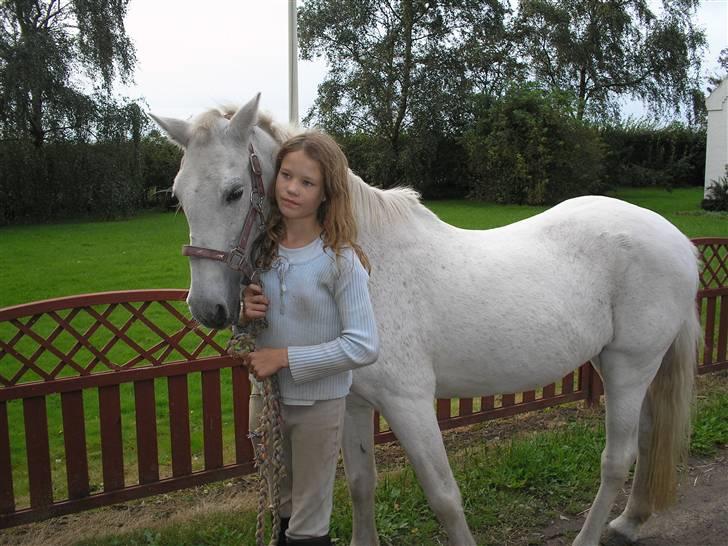 Anden særlig race  l Enggårdens Queen <3 - Queen var en lille nusse gøj! <33 få dage før at hun tog til de evige græsmarker - savner og elsker dig, mín dejlige elskede pony :,( hvil i fred.  billede 2