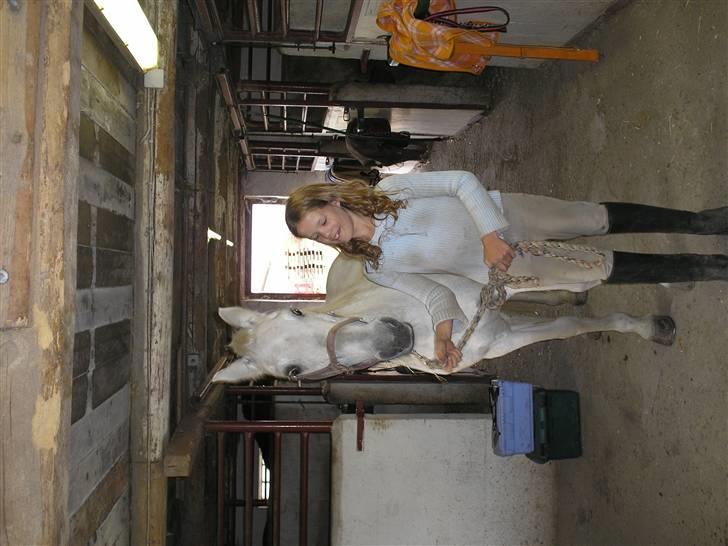 Anden særlig race  l Enggårdens Queen <3 - Queen oq jeg på staldgangen!  - få dage før at hun tog til de evige græsmarker - savner og elsker dig, mín dejlige elskede pony :,( hvil i fred.  billede 5