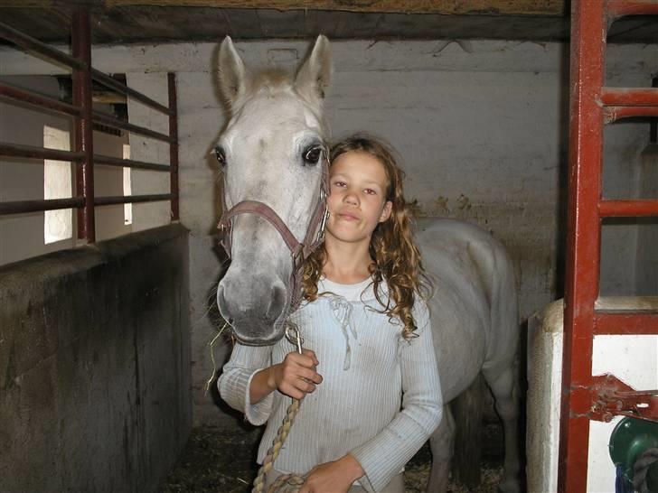 Anden særlig race  l Enggårdens Queen <3 - i hendes boks igen!  - få dage før at hun tog til de evige græsmarker - savner og elsker dig, mín dejlige elskede pony :,( hvil i fred.  billede 6