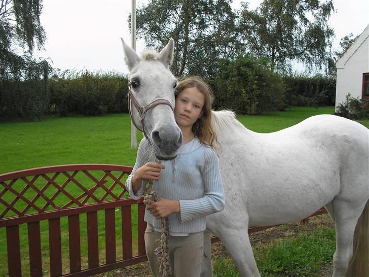 Anden særlig race  l Enggårdens Queen <3 -  - få dage før at hun tog til de evige græsmarker - savner og elsker dig, mín dejlige elskede pony :,( hvil i fred.  billede 8