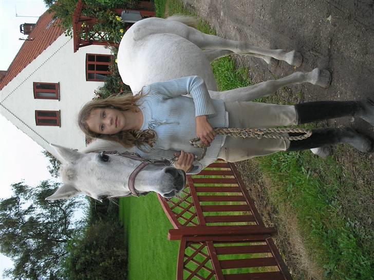 Anden særlig race  l Enggårdens Queen <3 -  - få dage før at hun tog til de evige græsmarker - savner og elsker dig, mín dejlige elskede pony :,( hvil i fred.  billede 10