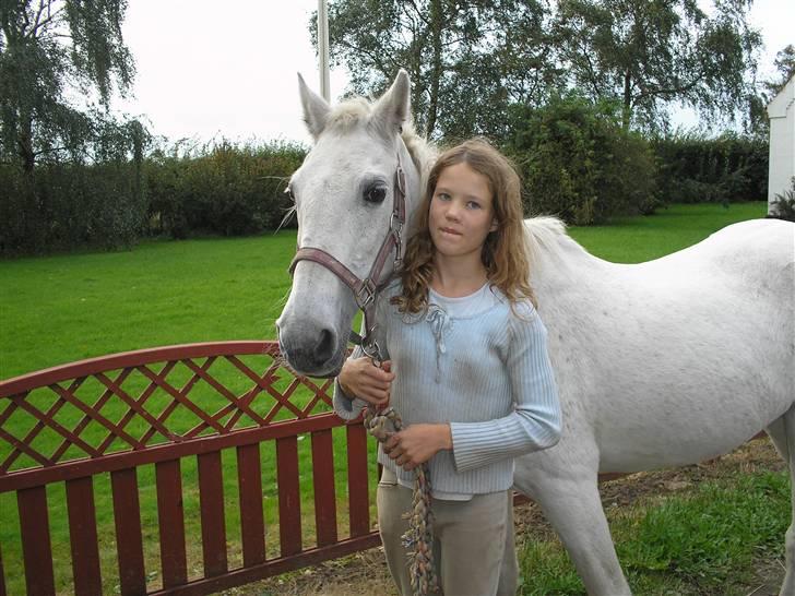 Anden særlig race  l Enggårdens Queen <3 -  - få dage før at hun tog til de evige græsmarker - savner og elsker dig, mín dejlige elskede pony :,( hvil i fred.  billede 11