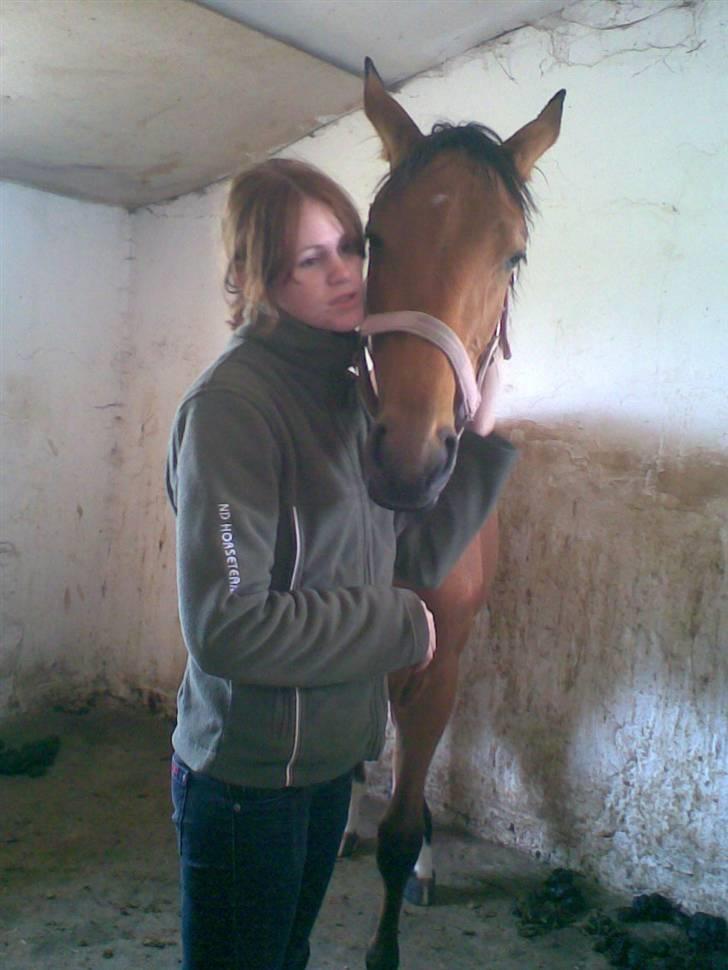 Svensk Varmblod Monique *AFLIVET* R.I.P. - Min lille kælepot<3 billede 20