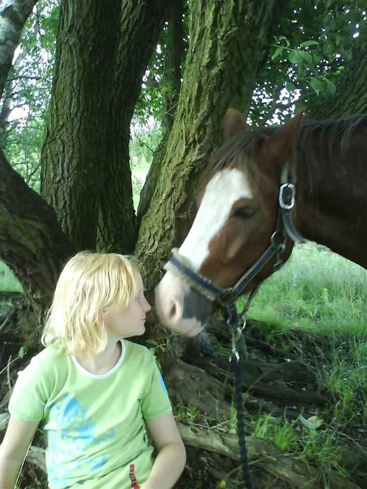 Welsh Pony (sec B) Chilli *Gammel part* - Chille og Sigrid V.<3 billede 8