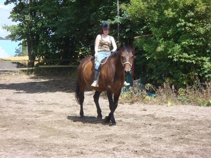 Oldenborg Debbie *gammel part* - 9/7, skridt. Elsker den hest. Fotograf: Nina billede 13