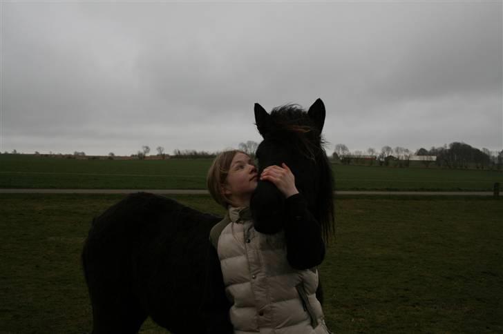 Islænder "¤"assa fra vikærslund"¤" - min øje sten.. billede 16