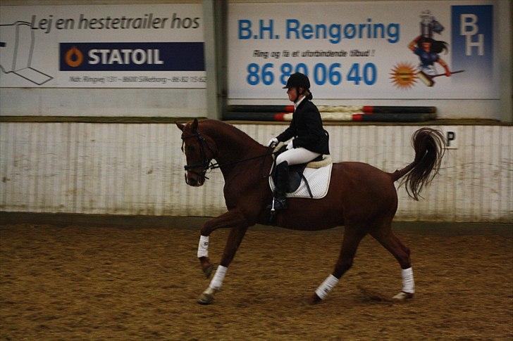 Dansk Varmblod Emos <3 <3 <3 <3 <3 - 2# 14/11 2010 <3 Sidste stævne på den dejlige basse <3 Det går bare op af bakke! Kig helst ikke på mig!!!
Foto: Camilla (mit kamera) billede 3