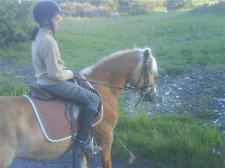 Haflinger Betti - Mig og Betti i skoven :) [Foto: Astrid] billede 2