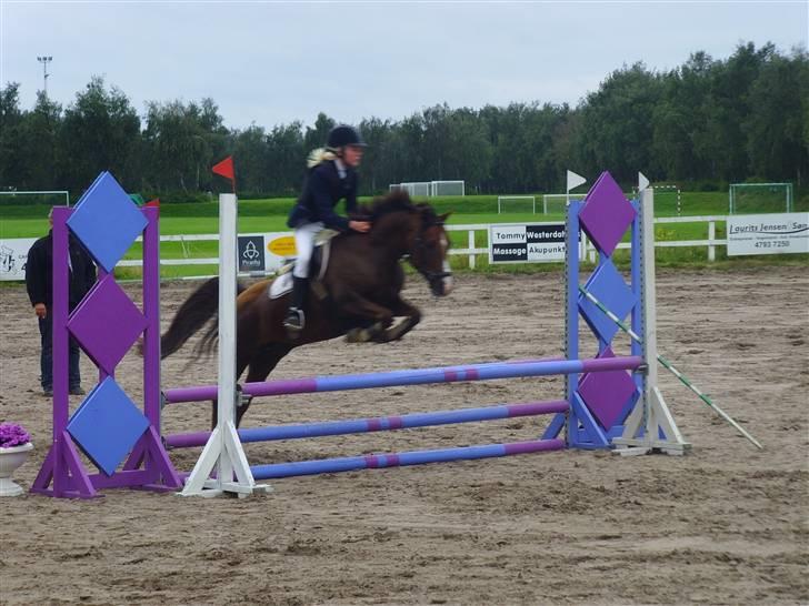 Anden særlig race Agazi (SOLGT) - Mig og min dejlige pony Agazi, der springer:-) Foto: Marie billede 1