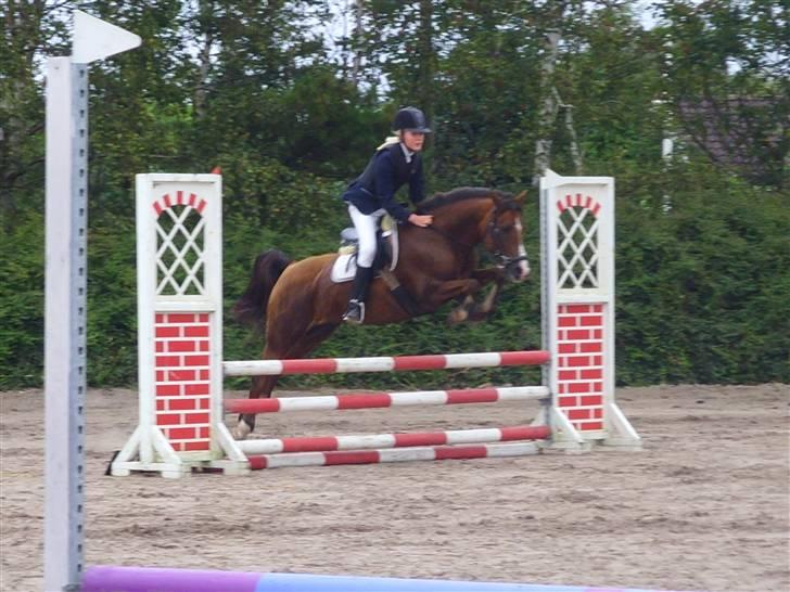 Anden særlig race Agazi (SOLGT) - Og et til spring, er han ikke sød?? Foto: Marie billede 3