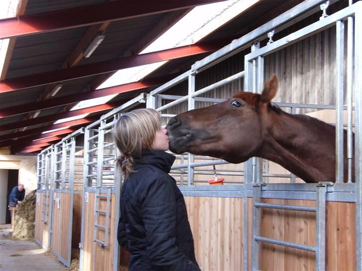 Anden særlig race Unique * Aflivet - R.I.P. - MYS!!! billede 19