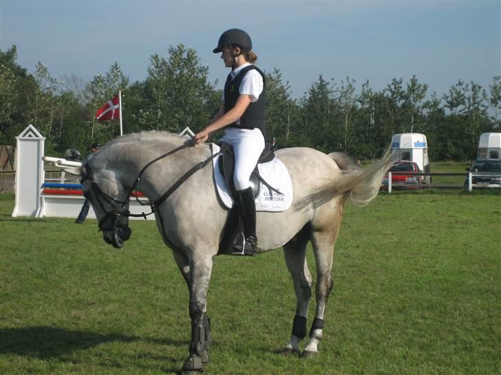 Anden særlig race Diego - Efter en god runde på Springbanen..! Blev det ogs til en placering :D  billede 17