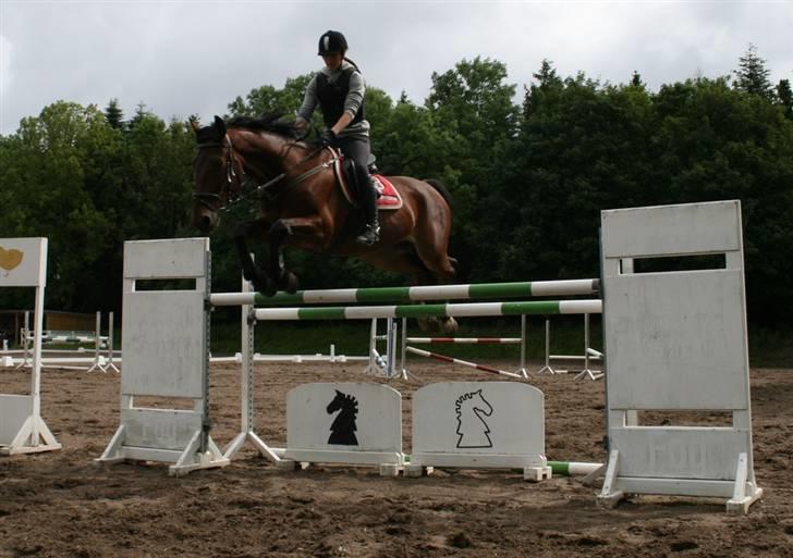 Oldenborg Classic Carismo - 15 #  Springning d. 05.06.09 - springet er ca. 135 cm. Undskylder min opstilling, han sprang ret tidligt, så kom ikke helt med :D Dejlige, ærlige hest - savner dig hvert sekund! billede 15