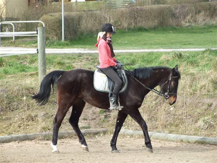 Oldenborg Baily  - d.20/3-08 Foto MF billede 9