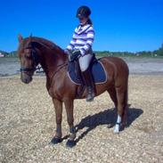 DSP Shanthi *min stjerne* RIP <3 27 sep. 2011 