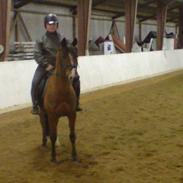 Anden særlig race martell