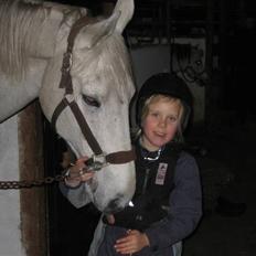 Holstener Cockney B (Død)