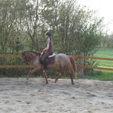 Anden særlig race Fru Smith (solgt)