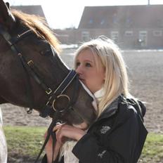 Anden særlig race Stella