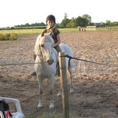 Anden særlig race Bella 