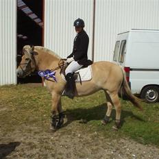 Fjordhest Luise-*R.I.P*