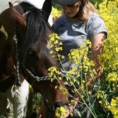 Pinto Lundhøjgårds Intermezzo