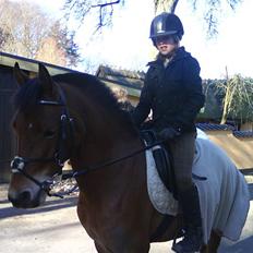 Anden særlig race Prins Kashmir SOLGT:'(